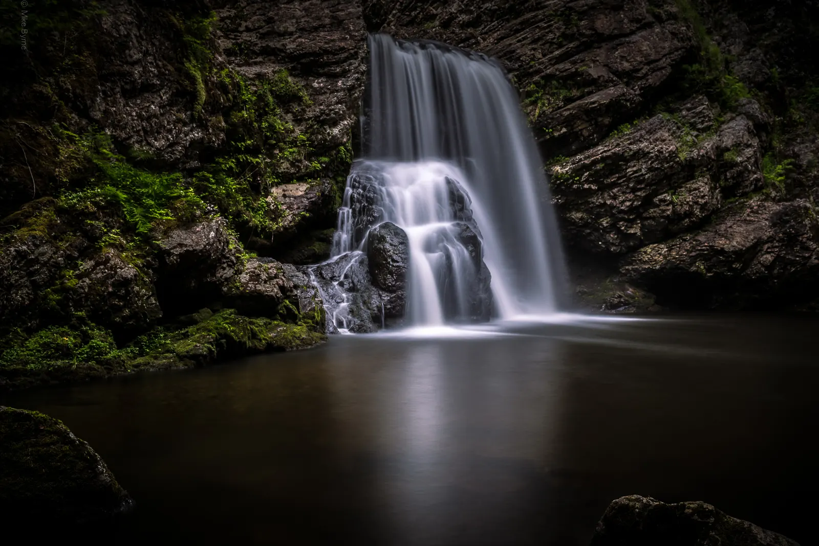 Forest Falls