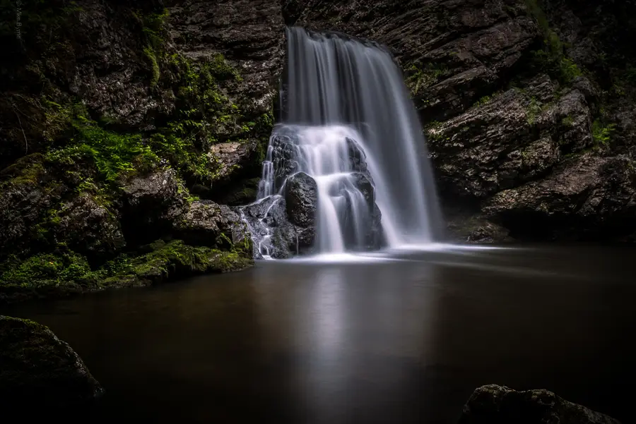 Forest Falls